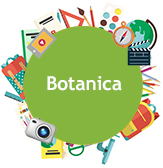 icona realizz botanica